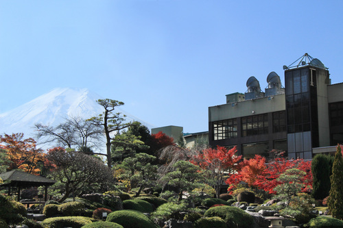 庭園からの富士山.jpg