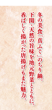 冬の美食「真ふぐ」のちり鍋。下関・天然の旨味を地元野菜とともに。香ばしく揚がった唐揚げもまた魅力。