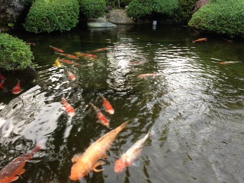 富士山温泉ホテル鐘山苑：庭園