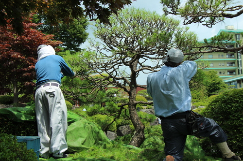 富士山温泉ホテル鐘山苑：庭園