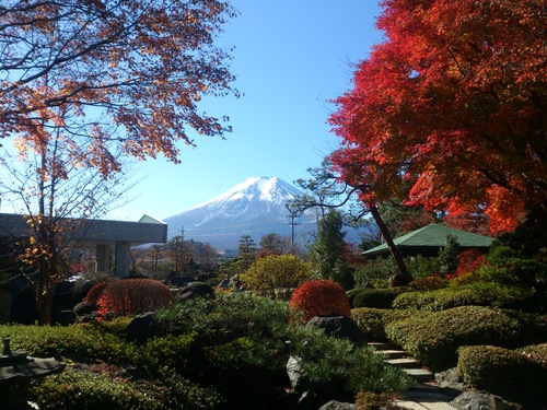 富士山温泉ホテル鐘山苑：１１／２３