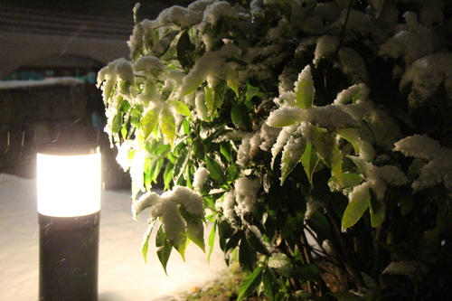 富士山温泉ホテル鐘山苑：庭園