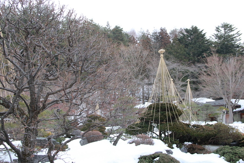 富士山温泉ホテル鐘山苑：庭園