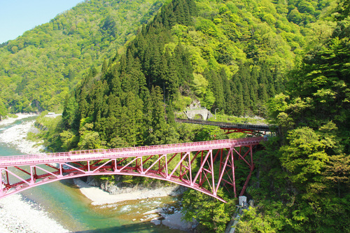 富士山温泉ホテル鐘山苑：社員旅行