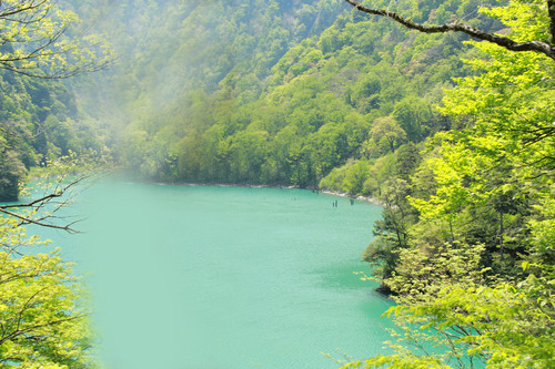 富士山温泉ホテル鐘山苑：社員旅行