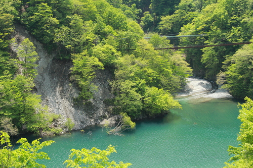 富士山温泉ホテル鐘山苑：社員旅行