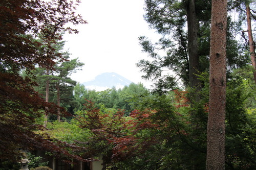 富士山温泉ホテル鐘山苑：庭園