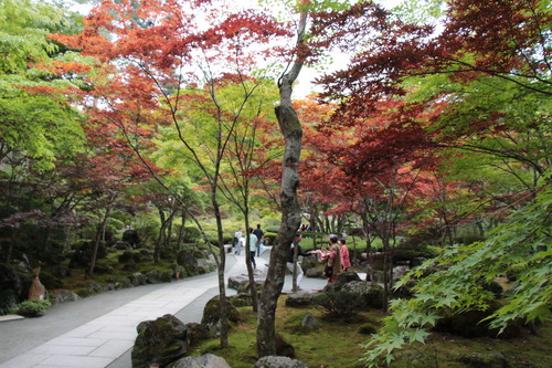 富士山温泉ホテル鐘山苑：庭園