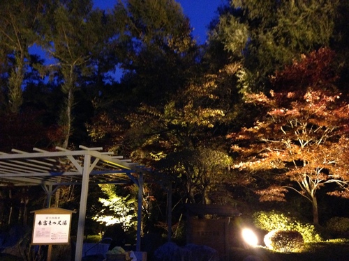 富士山温泉ホテル鐘山苑：足湯