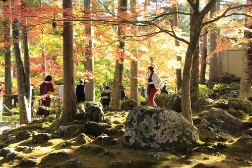 富士山温泉ホテル鐘山苑：庭園