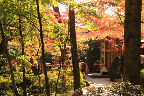 富士山温泉ホテル鐘山苑：庭園