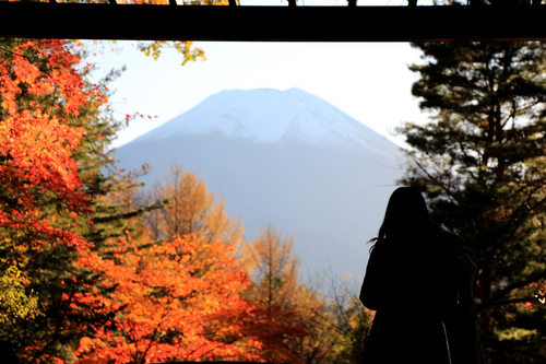 富士山温泉ホテル鐘山苑：１１／１３＿１