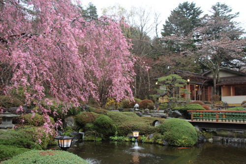 富士山温泉ホテル鐘山苑：庭園