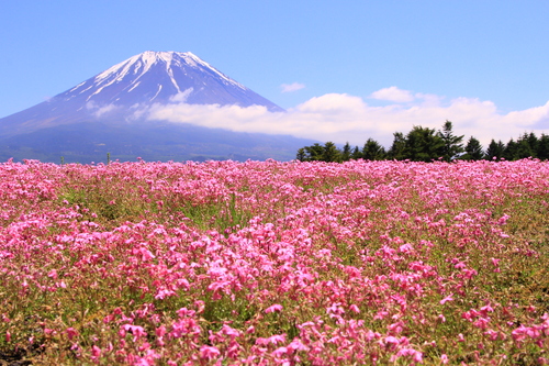 富士山温泉ホテル鐘山苑