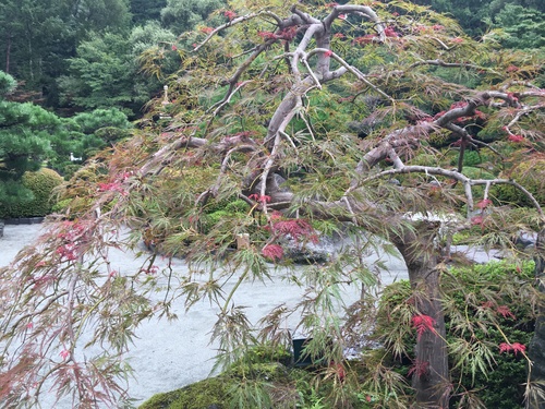 富士山温泉ホテル鐘山苑