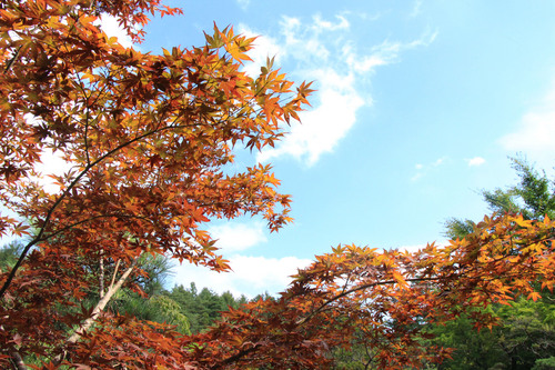 富士山温泉ホテル鐘山苑