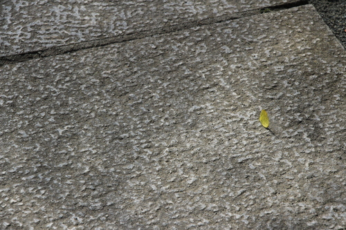 富士山温泉ホテル鐘山苑