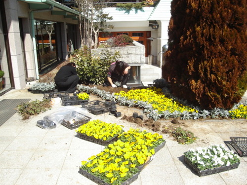 山梨県　温泉旅館　春よ　来い！！　花の手入れ