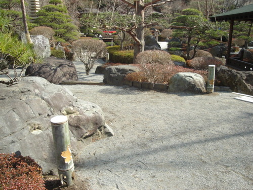 山梨県　温泉旅館　鐘山苑の庭園の桜開花情報と竹？