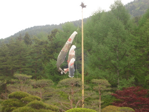 富士五湖温泉　【端午の節句】と富士山の眺望