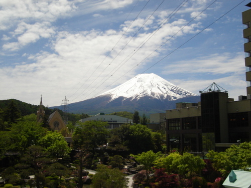 山梨県　温泉旅館　富士山尾眺望と館内の生花　【つつじ】