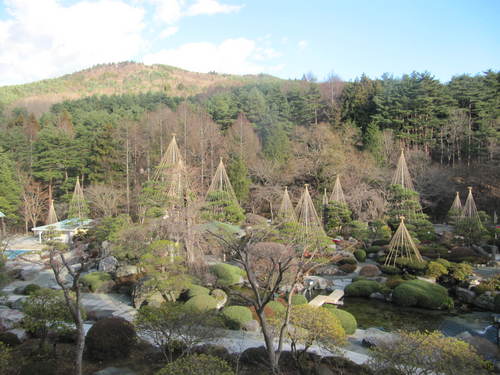 鐘山苑の庭園も冬支度