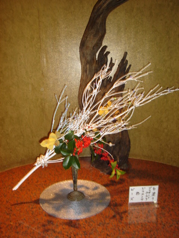 seika_2007t.JPG