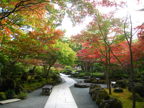 平成24年10月19日の庭園