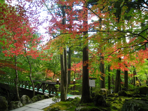 平成24年10月19日の庭園