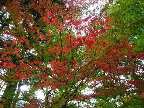 平成24年10月19日の庭園