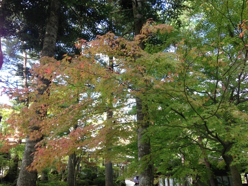 平成２４年１０月１２日の庭園