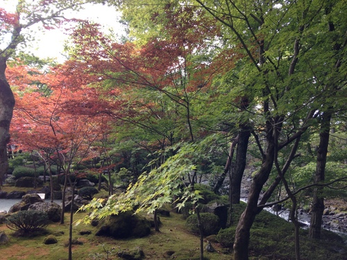 平成２４年１０月１２日の庭園