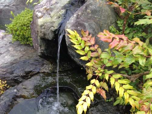 平成２４年１０月１５日の庭園