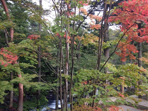 平成２４年１０月１５日の庭園