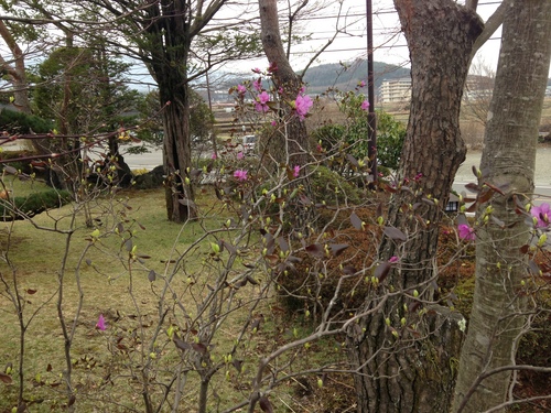 富士山温泉ホテル鐘山苑