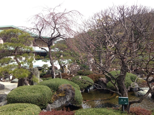 富士山温泉ホテル鐘山苑：庭園