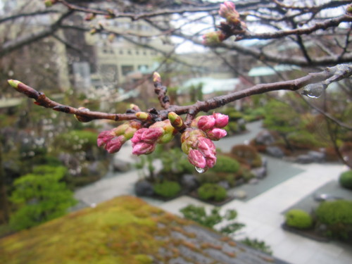 富士山温泉ホテル鐘山苑：庭園