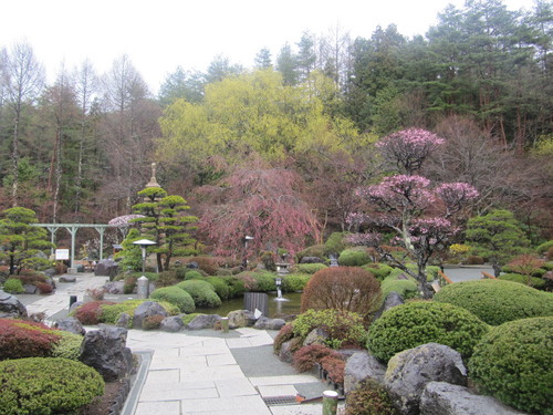 富士山温泉ホテル鐘山苑：庭園・桜・梅