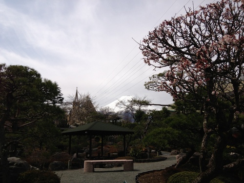 富士山温泉ホテル鐘山苑：庭園・梅