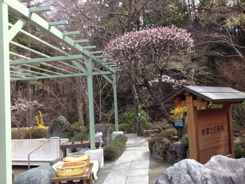 富士山温泉ホテル鐘山苑：庭園・梅