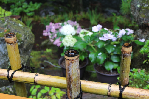 富士山温泉ホテル鐘山苑：庭園