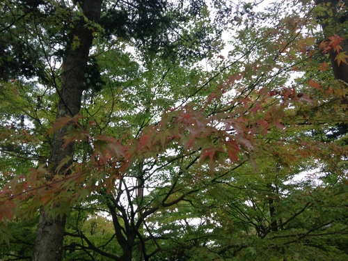 富士山温泉ホテル鐘山苑：庭園・紅葉