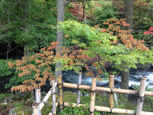 富士山温泉ホテル鐘山苑：庭園・紅葉