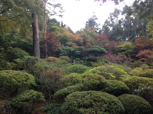 富士山温泉ホテル鐘山苑：庭園・紅葉