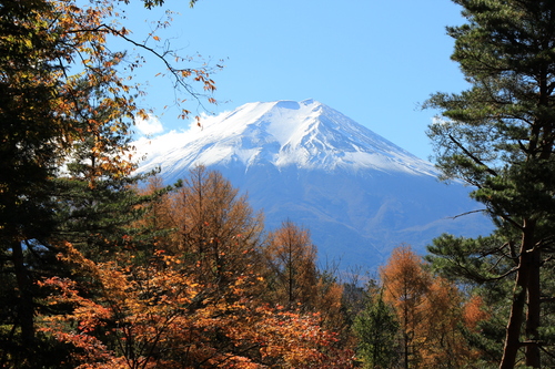 富士山温泉ホテル鐘山苑：１１／１３＿１