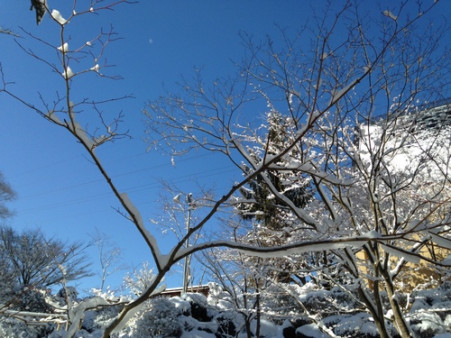 富士山温泉ホテル鐘山苑