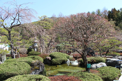 富士山温泉ホテル鐘山苑：４／７