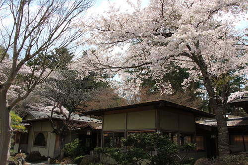 富士山温泉ホテル鐘山苑：４／２６＿５