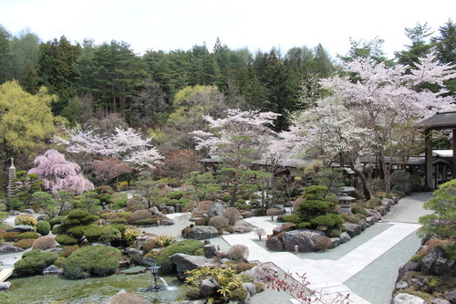 富士山温泉ホテル鐘山苑：４／２６＿８