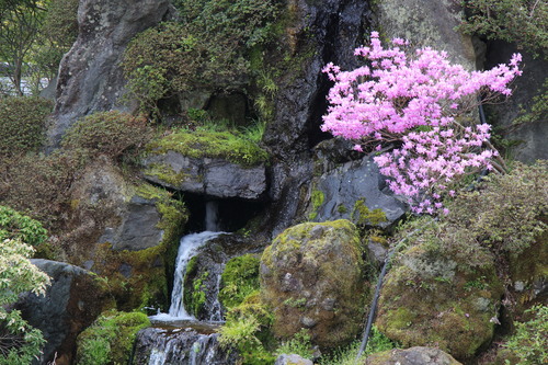 富士山温泉ホテル鐘山苑：４／２６＿９